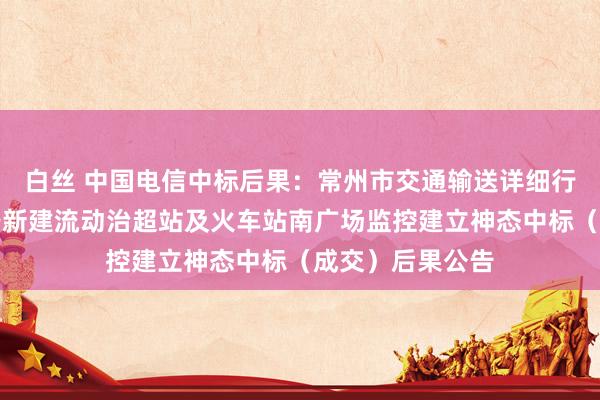 白丝 中国电信中标后果：常州市交通输送详细行政轨则支队天宁新建流动治超站及火车站南广场监控建立神态中标（成交）后果公告