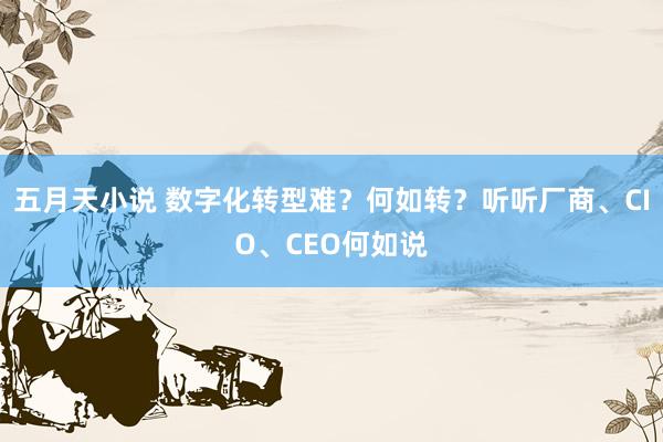 五月天小说 数字化转型难？何如转？听听厂商、CIO、CEO何如说