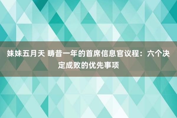 妹妹五月天 畴昔一年的首席信息官议程：六个决定成败的优先事项