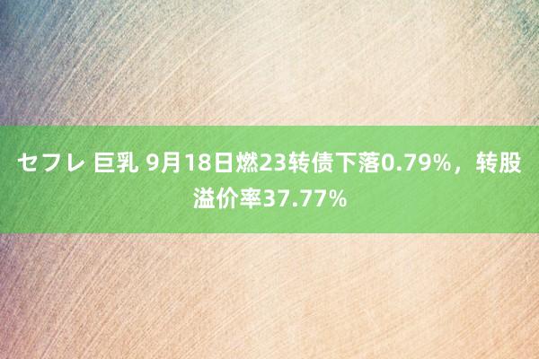 セフレ 巨乳 9月18日燃23转债下落0.79%，转股溢价率37.77%