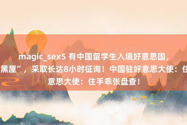 magic_sex5 有中国留学生入境好意思国，却被带进“小黑屋”，采取长达8小时征询！中国驻好意思大使：住手乖张盘查！