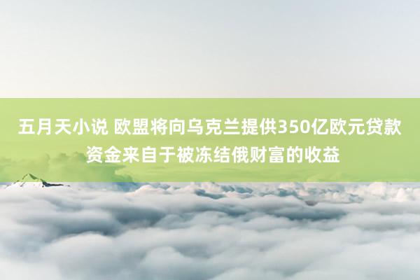 五月天小说 欧盟将向乌克兰提供350亿欧元贷款 资金来自于被冻结俄财富的收益