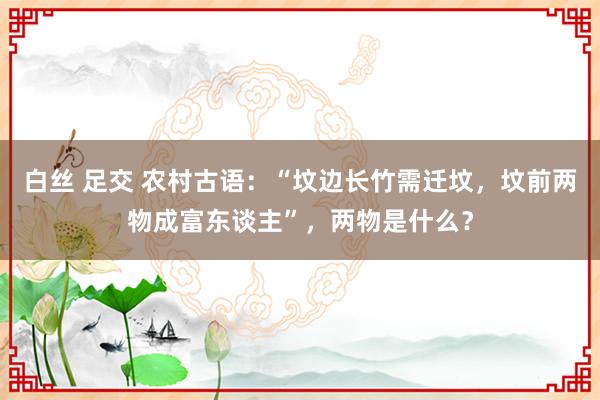 白丝 足交 农村古语：“坟边长竹需迁坟，坟前两物成富东谈主”，两物是什么？