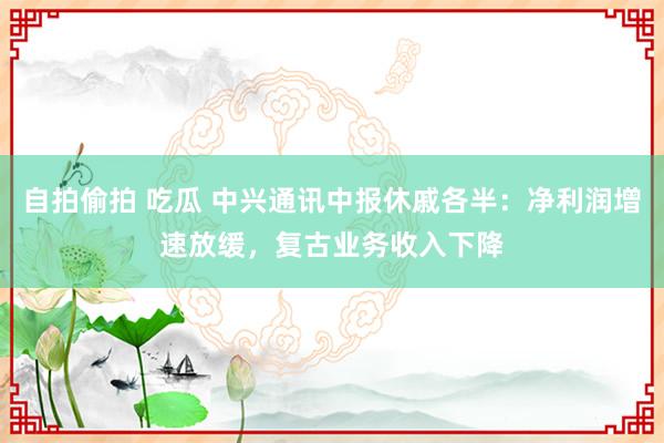 自拍偷拍 吃瓜 中兴通讯中报休戚各半：净利润增速放缓，复古业务收入下降