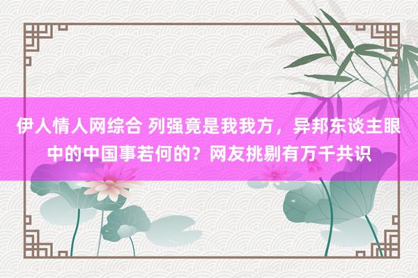 伊人情人网综合 列强竟是我我方，异邦东谈主眼中的中国事若何的？网友挑剔有万千共识