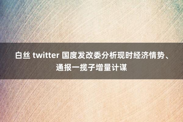 白丝 twitter 国度发改委分析现时经济情势、通报一揽子增量计谋