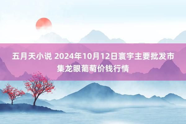 五月天小说 2024年10月12日寰宇主要批发市集龙眼葡萄价钱行情