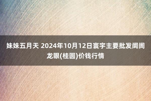 妹妹五月天 2024年10月12日寰宇主要批发阛阓龙眼(桂圆)价钱行情