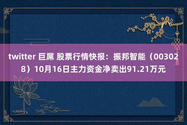 twitter 巨屌 股票行情快报：振邦智能（003028）10月16日主力资金净卖出91.21万元