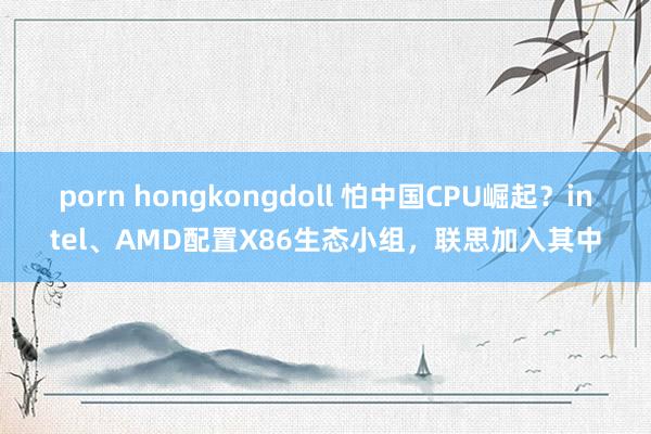 porn hongkongdoll 怕中国CPU崛起？intel、AMD配置X86生态小组，联思加入其中