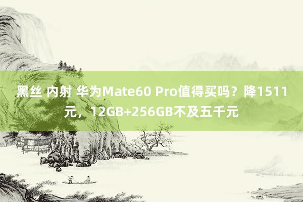 黑丝 内射 华为Mate60 Pro值得买吗？降1511元，12GB+256GB不及五千元