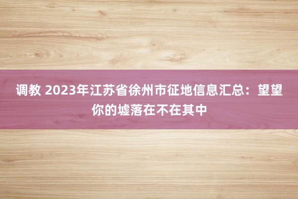 调教 2023年江苏省徐州市征地信息汇总：望望你的墟落在不在其中