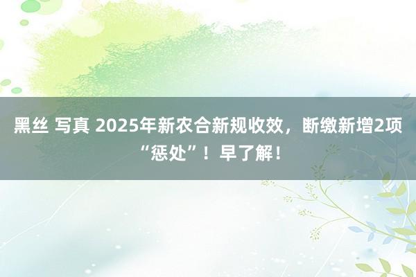 黑丝 写真 2025年新农合新规收效，断缴新增2项“惩处”！早了解！