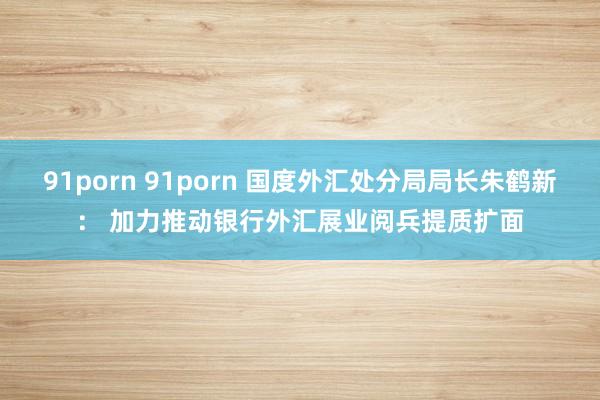 91porn 91porn 国度外汇处分局局长朱鹤新： 加力推动银行外汇展业阅兵提质扩面