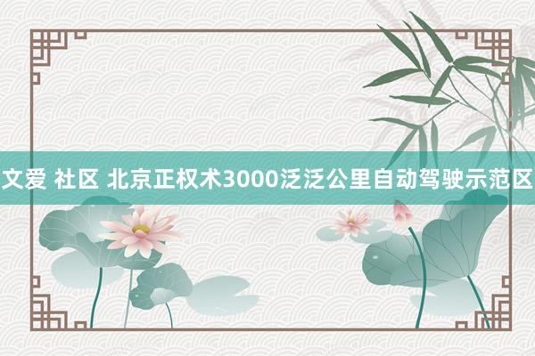 文爱 社区 北京正权术3000泛泛公里自动驾驶示范区