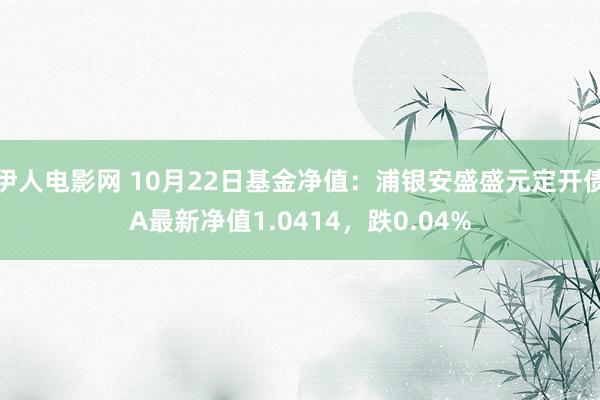 伊人电影网 10月22日基金净值：浦银安盛盛元定开债A最新净值1.0414，跌0.04%