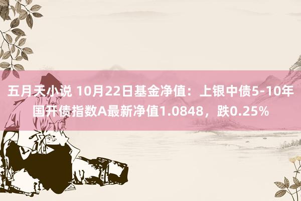 五月天小说 10月22日基金净值：上银中债5-10年国开债指数A最新净值1.0848，跌0.25%