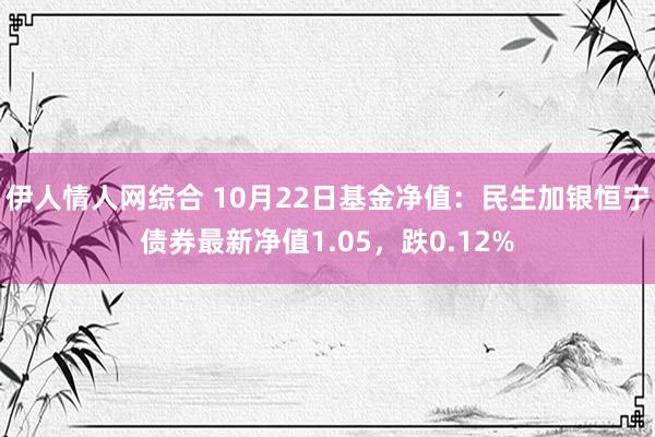 伊人情人网综合 10月22日基金净值：民生加银恒宁债券最新净值1.05，跌0.12%