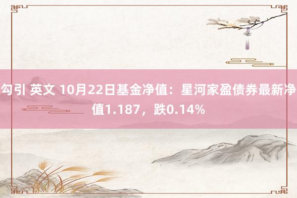 勾引 英文 10月22日基金净值：星河家盈债券最新净值1.187，跌0.14%