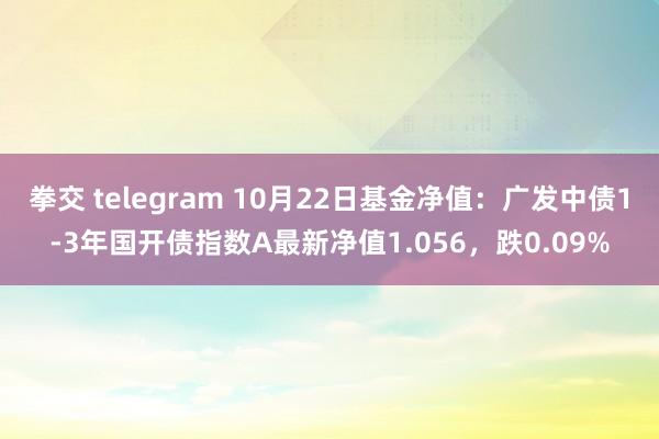 拳交 telegram 10月22日基金净值：广发中债1-3年国开债指数A最新净值1.056，跌0.09%