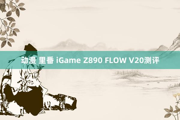 动漫 里番 iGame Z890 FLOW V20测评