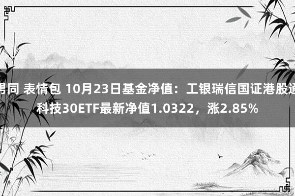 男同 表情包 10月23日基金净值：工银瑞信国证港股通科技30ETF最新净值1.0322，涨2.85%