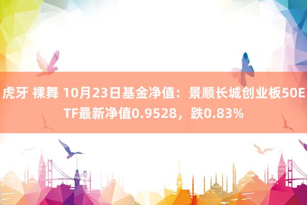 虎牙 裸舞 10月23日基金净值：景顺长城创业板50ETF最新净值0.9528，跌0.83%