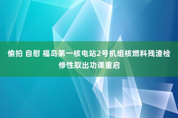 偷拍 自慰 福岛第一核电站2号机组核燃料残渣检修性取出功课重启