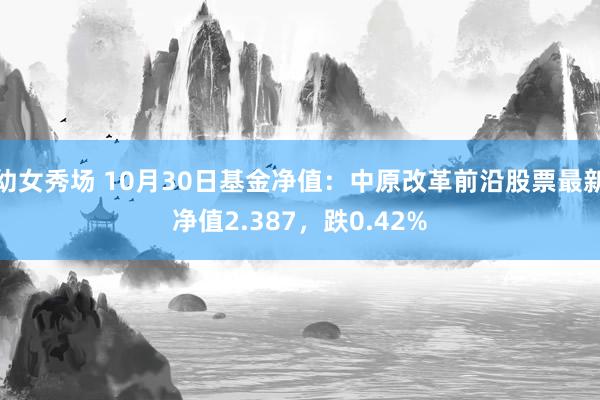 幼女秀场 10月30日基金净值：中原改革前沿股票最新净值2.387，跌0.42%