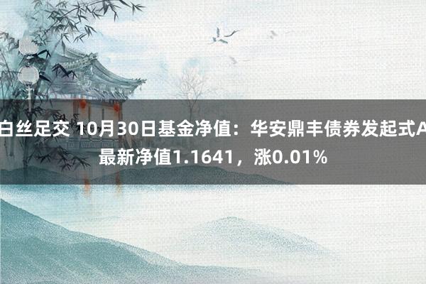 白丝足交 10月30日基金净值：华安鼎丰债券发起式A最新净值1.1641，涨0.01%