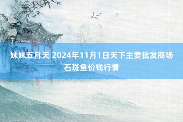 妹妹五月天 2024年11月1日天下主要批发商场石斑鱼价钱行情