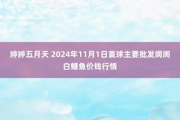 婷婷五月天 2024年11月1日寰球主要批发阛阓白鳝鱼价钱行情