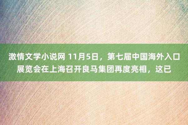 激情文学小说网 11月5日，第七届中国海外入口展览会在上海召开良马集团再度亮相，这已