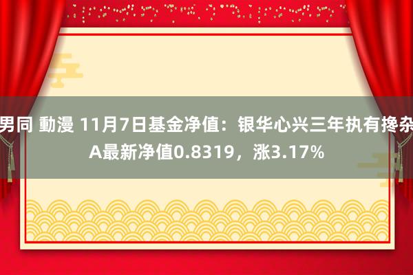 男同 動漫 11月7日基金净值：银华心兴三年执有搀杂A最新净值0.8319，涨3.17%