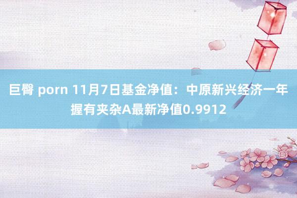 巨臀 porn 11月7日基金净值：中原新兴经济一年握有夹杂A最新净值0.9912