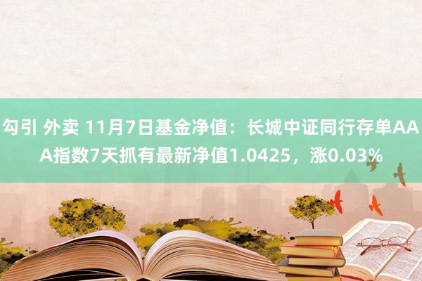 勾引 外卖 11月7日基金净值：长城中证同行存单AAA指数7天抓有最新净值1.0425，涨0.03%