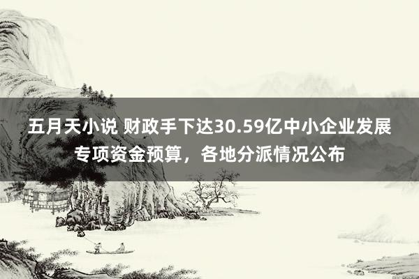 五月天小说 财政手下达30.59亿中小企业发展专项资金预算，各地分派情况公布