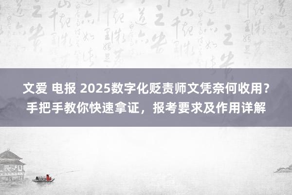 文爱 电报 2025数字化贬责师文凭奈何收用？手把手教你快速拿证，报考要求及作用详解