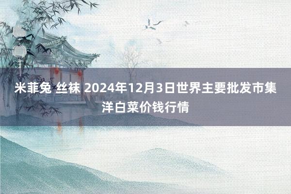 米菲兔 丝袜 2024年12月3日世界主要批发市集洋白菜价钱行情