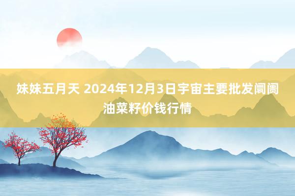 妹妹五月天 2024年12月3日宇宙主要批发阛阓油菜籽价钱行情