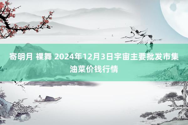 寄明月 裸舞 2024年12月3日宇宙主要批发市集油菜价钱行情