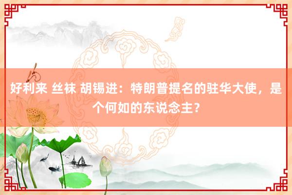 好利来 丝袜 胡锡进：特朗普提名的驻华大使，是个何如的东说念主？