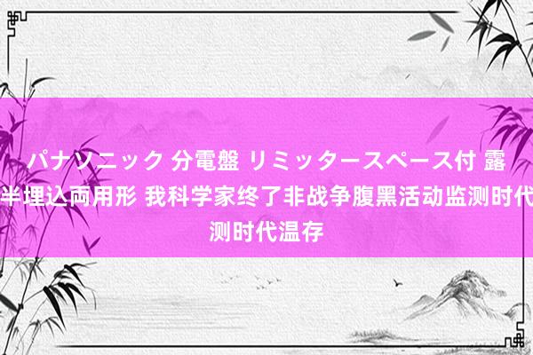 パナソニック 分電盤 リミッタースペース付 露出・半埋込両用形 我科学家终了非战争腹黑活动监测时代温存