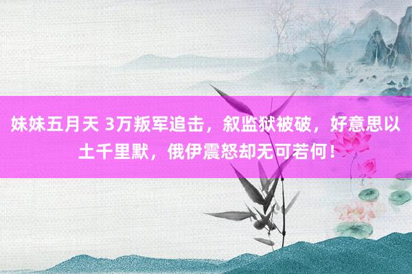 妹妹五月天 3万叛军追击，叙监狱被破，好意思以土千里默，俄伊震怒却无可若何！