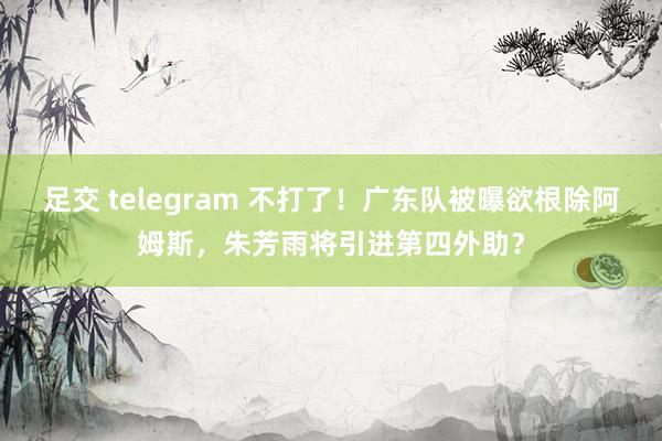 足交 telegram 不打了！广东队被曝欲根除阿姆斯，朱芳雨将引进第四外助？