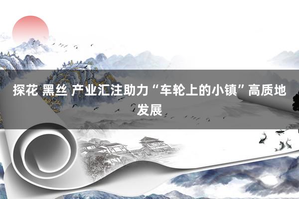 探花 黑丝 产业汇注助力“车轮上的小镇”高质地发展