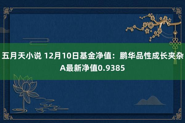 五月天小说 12月10日基金净值：鹏华品性成长夹杂A最新净值0.9385