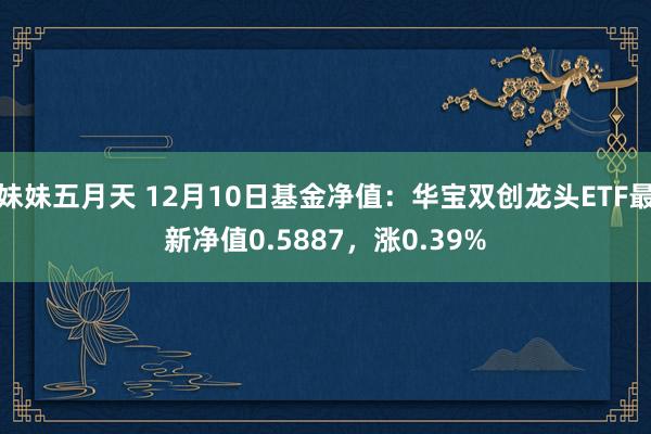 妹妹五月天 12月10日基金净值：华宝双创龙头ETF最新净值0.5887，涨0.39%