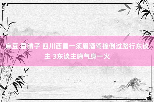 麻豆 夏晴子 四川西昌一须眉酒驾撞倒过路行东谈主 3东谈主晦气身一火