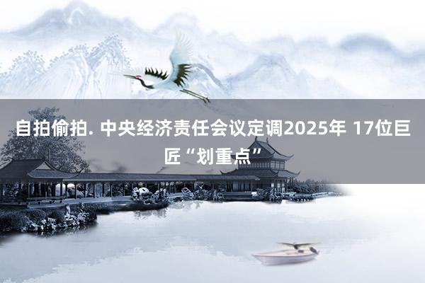 自拍偷拍. 中央经济责任会议定调2025年 17位巨匠“划重点”